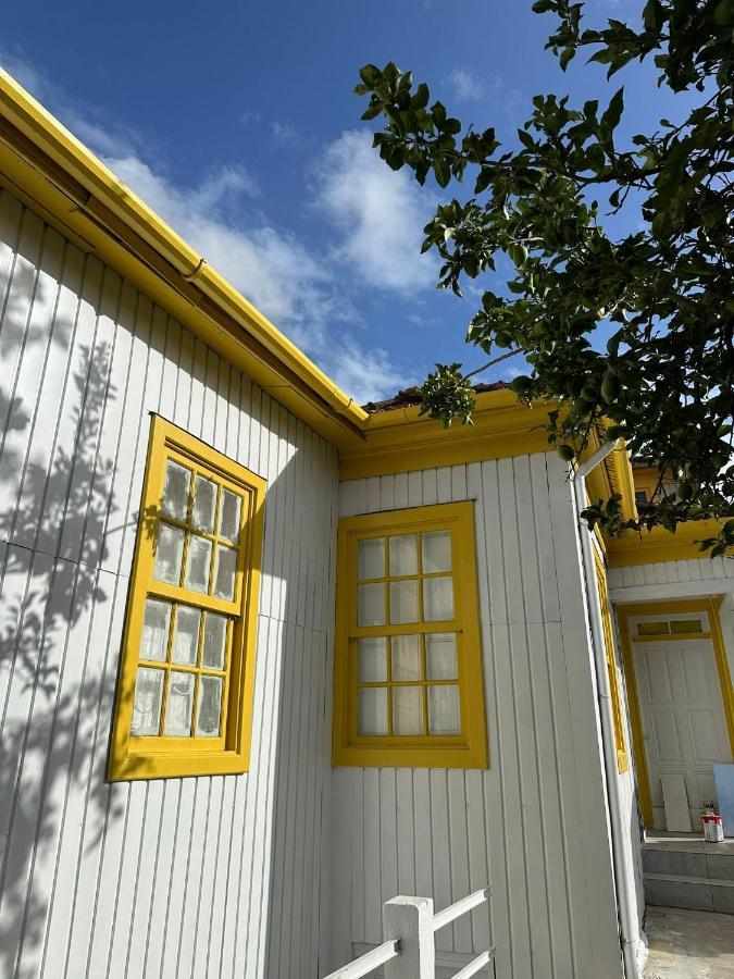 Owls Hostel Ildefonso OOporto Extérieur photo