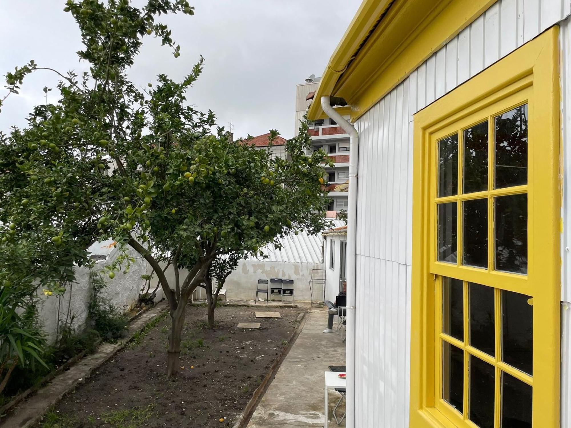 Owls Hostel Ildefonso OOporto Extérieur photo